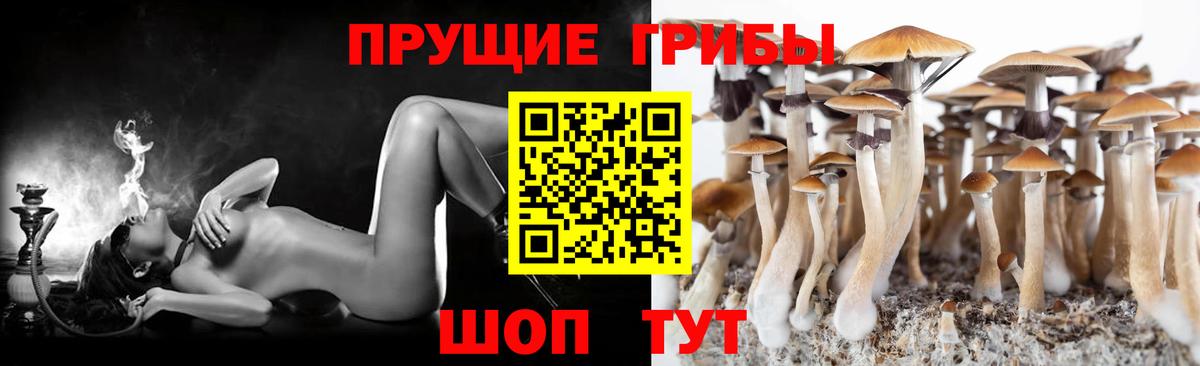 Галлюциногенные грибы ЛСД Фурманов